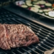 Welcher Grillrost ist der Beste für den Gasgrill?