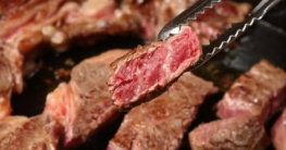 enders gasgrill test